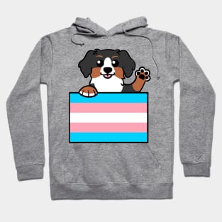 Love is Love Puppy - Bernese Trans Pride Flag Hoodie